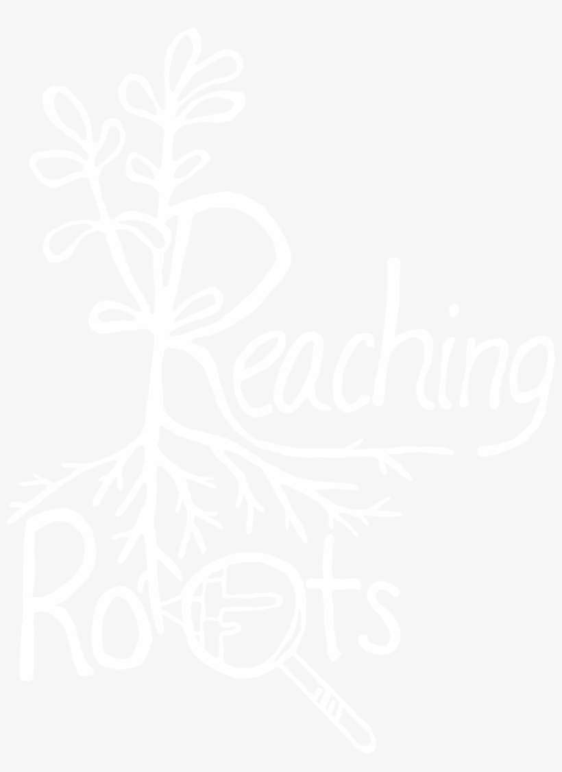 Reaching Roots - Roots Canada, transparent png download