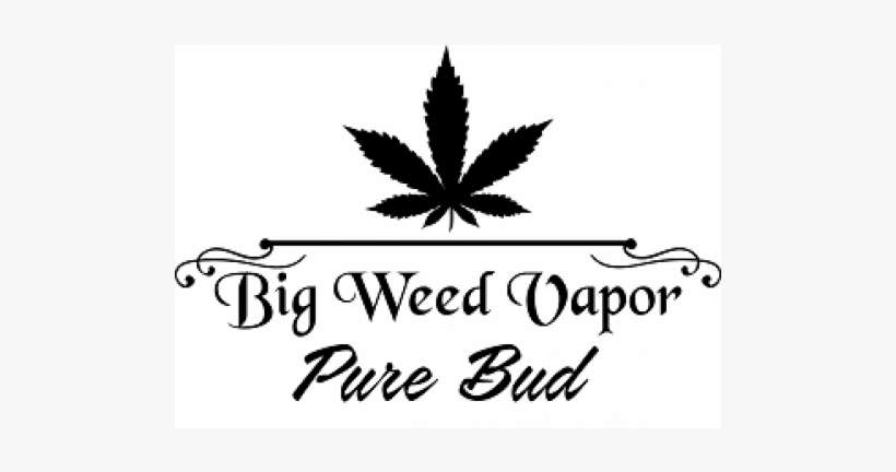 Pure Bud - Breakwater Bay Barnegat Framed Painting Print, Green, transparent png download