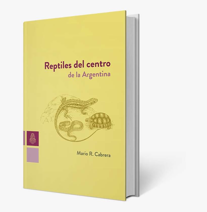 Reptiles - Boa Constrictor, transparent png download