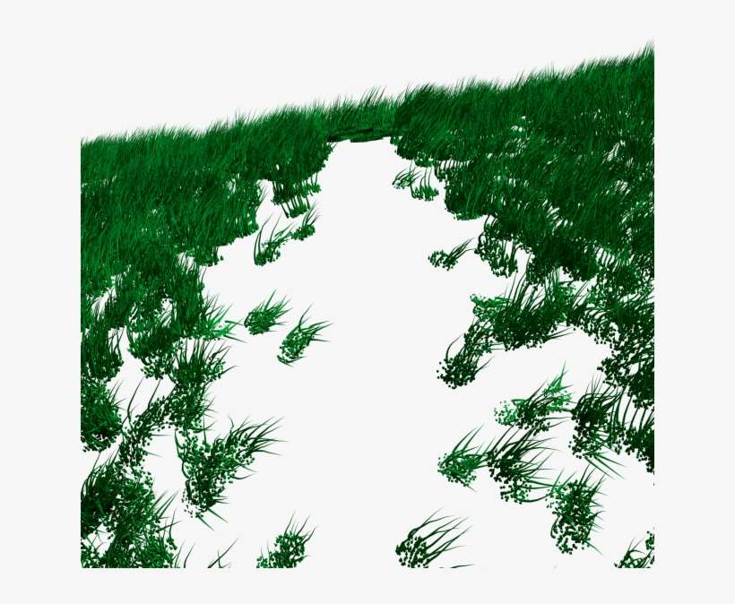 The Grass's Shadow Is Disappear When The Mesh Become - Grass, transparent png download