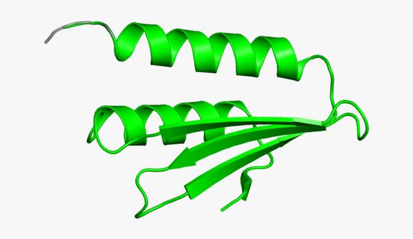 <div Class='caption-body'>1 Copy Of Cath Domain < - Illustration, transparent png download