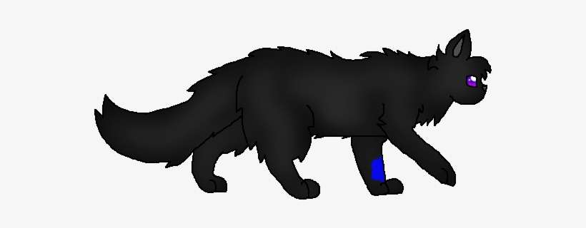 Magicpalm - Loner - Puma, transparent png download