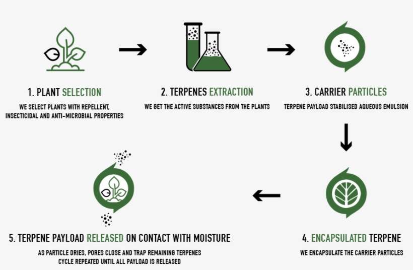 The Patented Technology Uses Natural Hollow Particles - Diagram, transparent png download