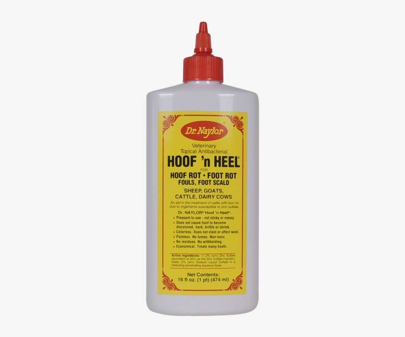 Hoof N Heel Horse Hoof Care - H W Naylor Hhp Hoof N' Heel Livestock Ointment, 16-oz., transparent png download