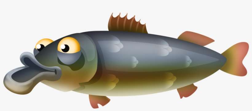 Asp - Golden Trout, transparent png download