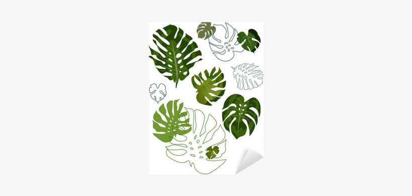 Philodendron Tattoo, transparent png download