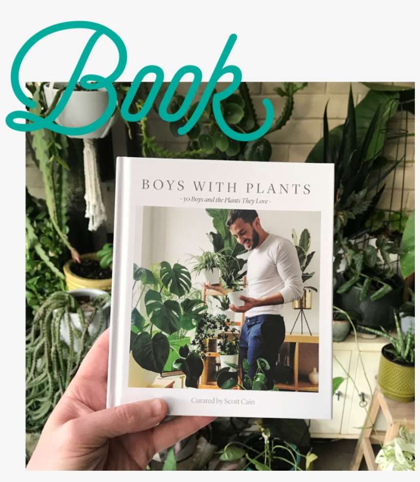 With Plants - Book, transparent png download