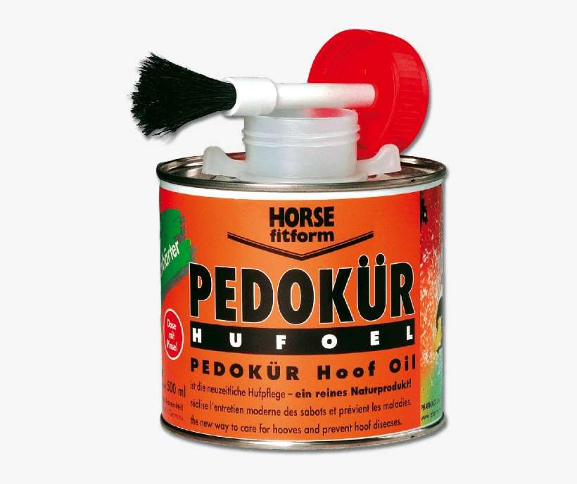 Horse, transparent png download