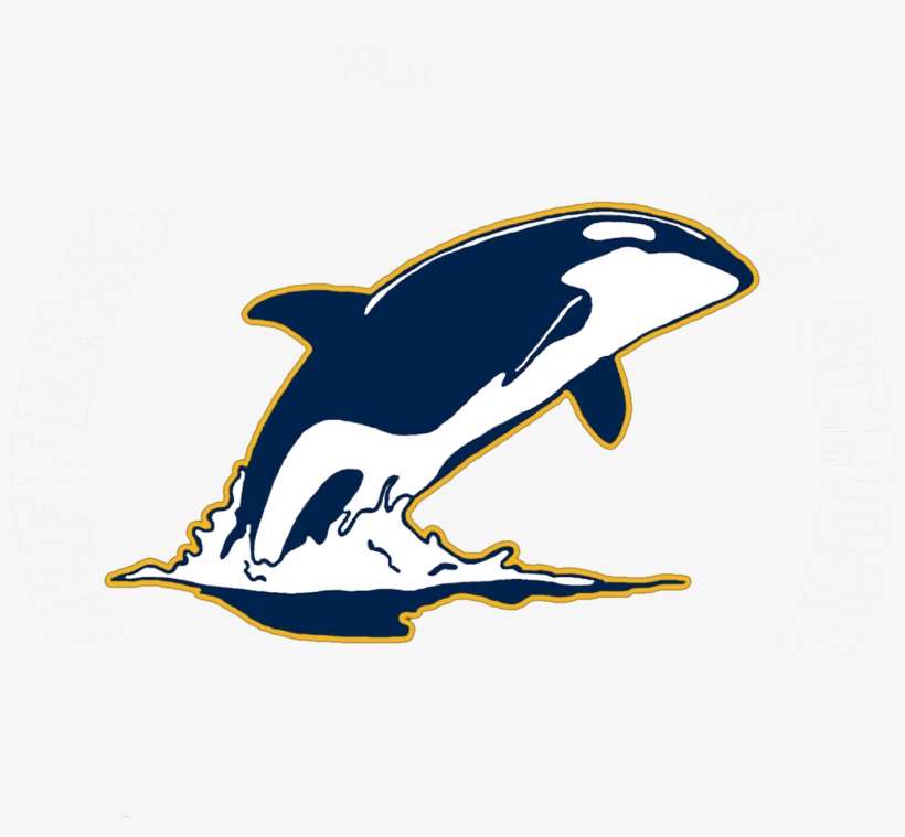 Jefferson Elementary School - Killer Whale, transparent png download