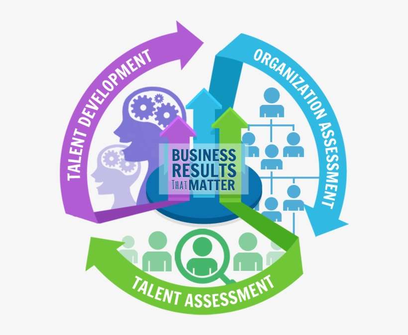 Talent Strategy & Business Alignment For Results That - Rajiv Gandhi National Institute Of Youth Development, transparent png download