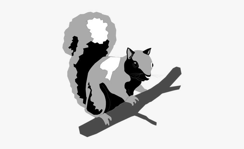 A Practical Squirrel - Squirrel, transparent png download