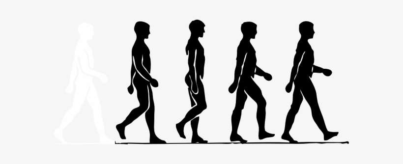 Fitness - Clipart Walking Man, transparent png download