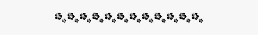 Vinilo Decorativo Cenefa Con Flores Hawaianas - Tira De Flores Hawaianas, transparent png download