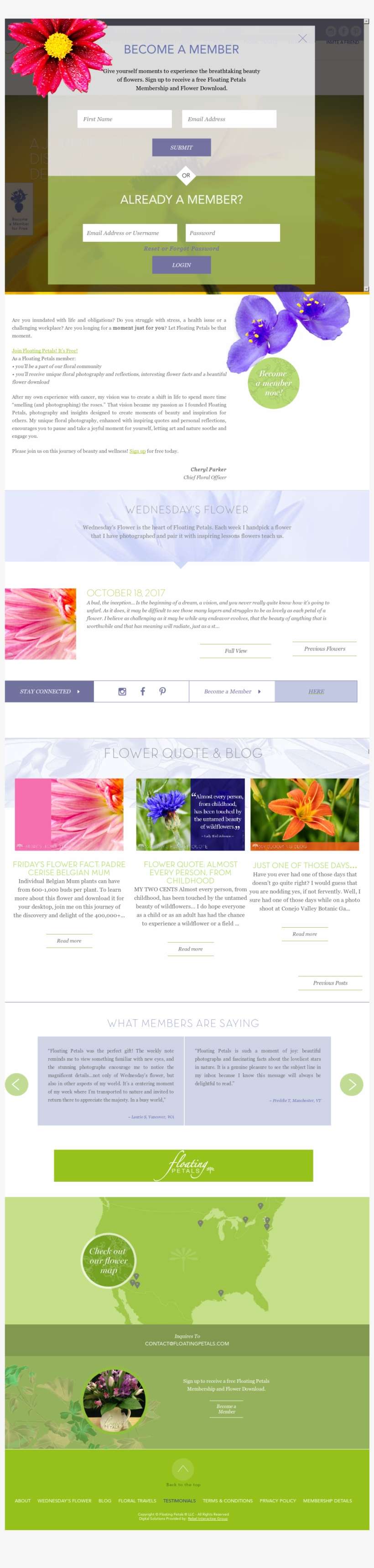 Floating Petals Website History - Fruit, transparent png download