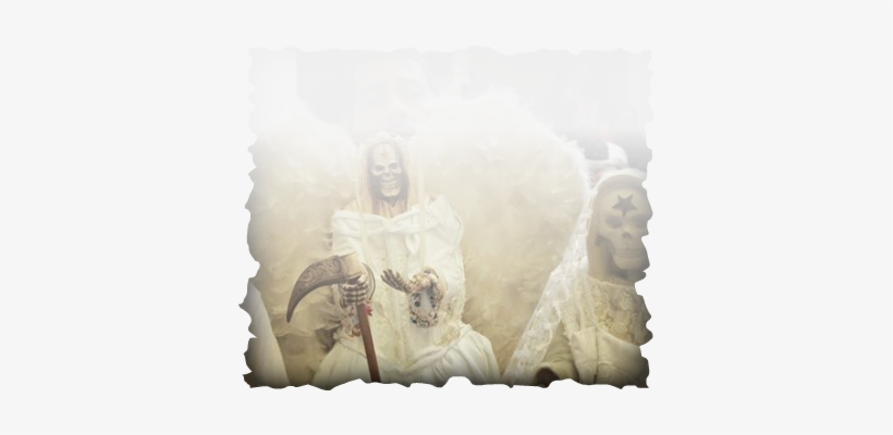 Santisima Muerte Heals Her Children With Her Divine - Standard Poodle Dreadlocks, transparent png download