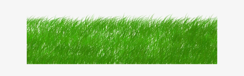 Cabecera Césped - Green Ecology, transparent png download