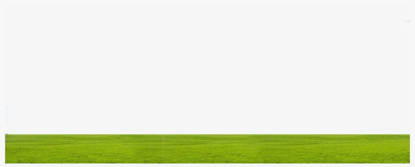 Somos Capaces De Hacer Que Su Casa O Local Sea Eficiente - Grass, transparent png download