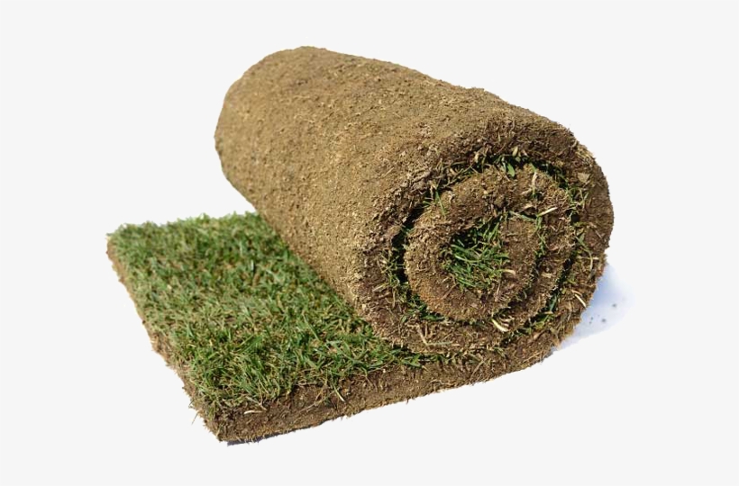 Tepe De Césped - Tepes Cesped, transparent png download