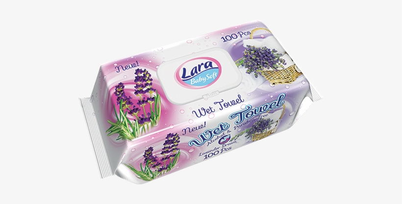 Lara Soft, transparent png download