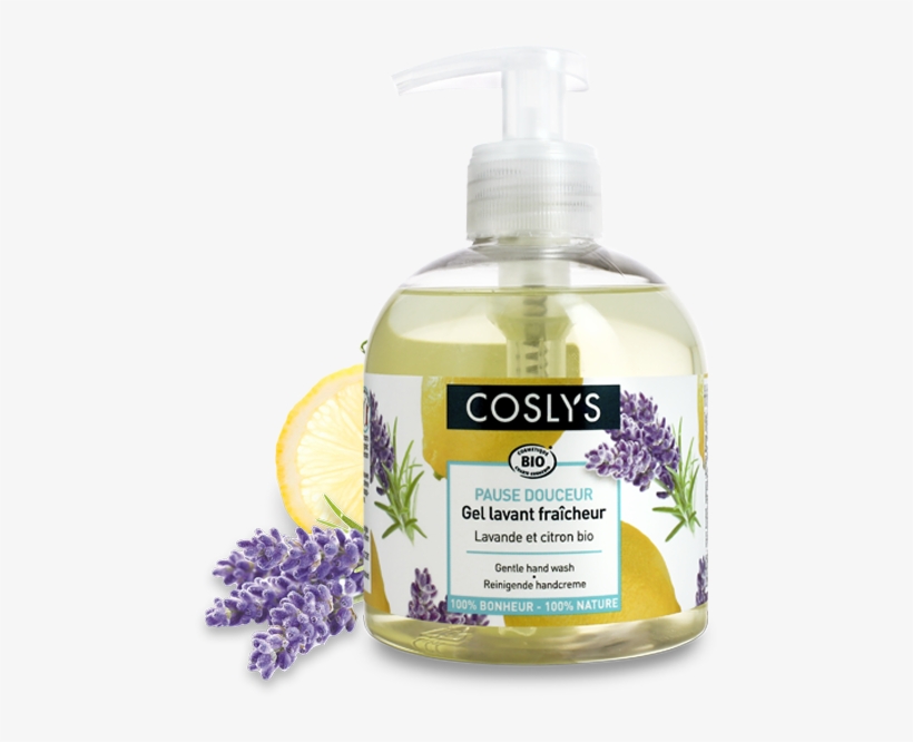 Lavender, transparent png download