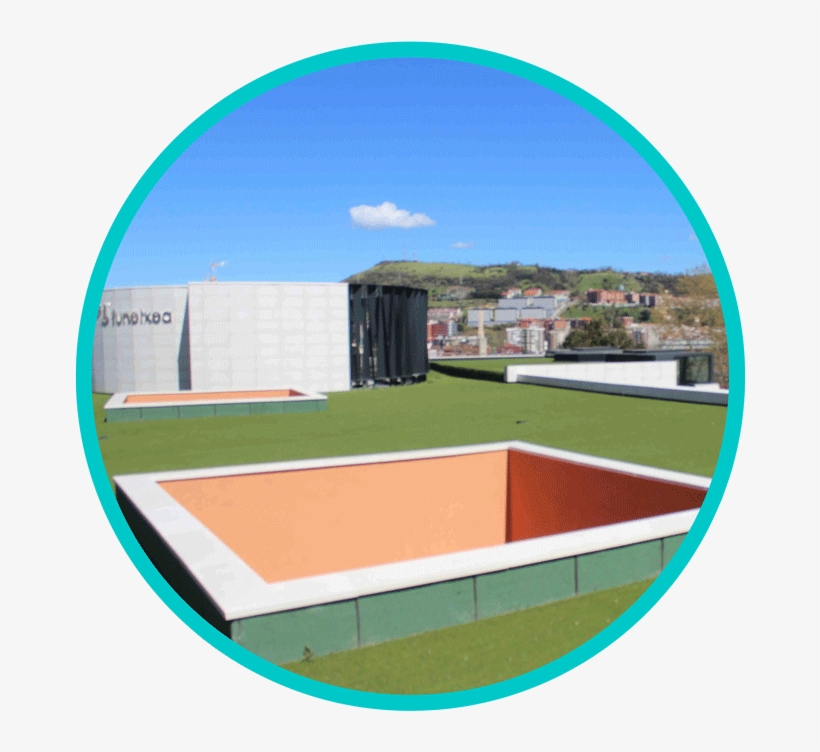 Cesped Artificial Decorativo - Circle, transparent png download