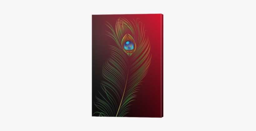 Peacock Feather Vector Background Canvas Print • Pixers® - Modern Art, transparent png download