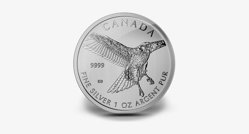 2015 1 Oz Canadian Silver Red-tailed Hawk Coins From - Red-tailed Hawk, transparent png download