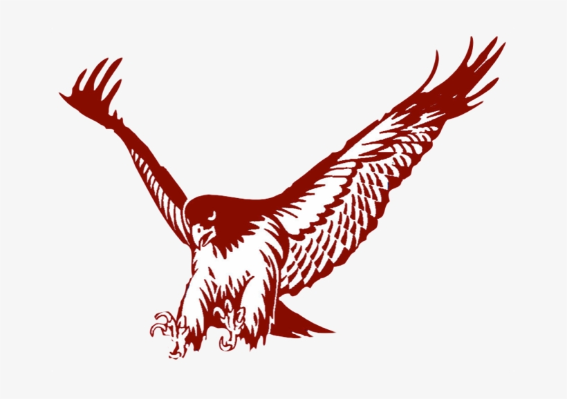 Red Tailed - Tamalpais High School Alumni, transparent png download