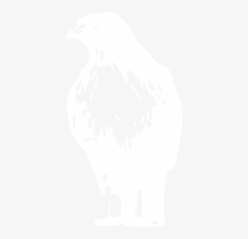 Both Peregrine Falcons And Red-tailed Hawks Inhabit - Illustration, transparent png download