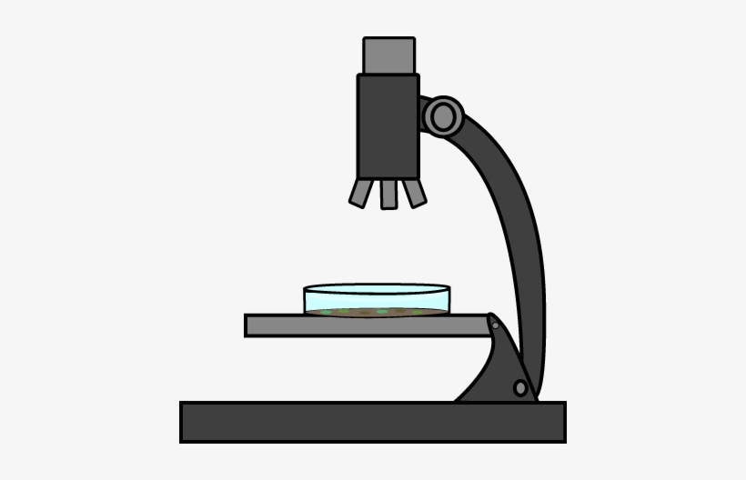 Petri Dish Under A Microscope Clip Art - Microscope Petri Dish Drawing, transparent png download