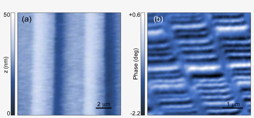 Topographic Image Of The Calibration Sample From Mikromasch - Label, transparent png download