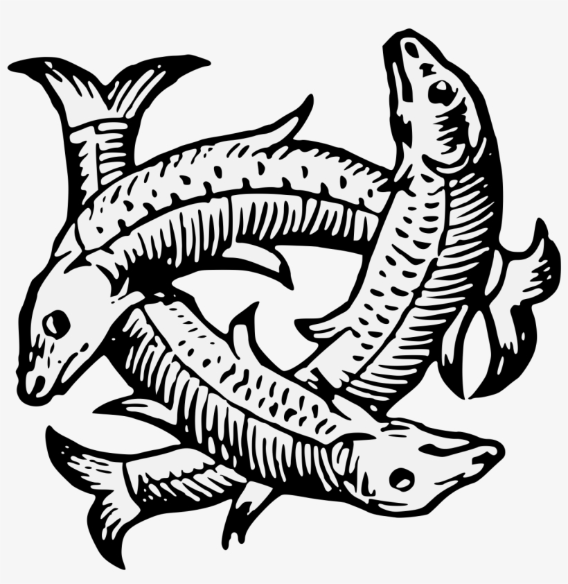 Details, Png - Portable Network Graphics, transparent png download