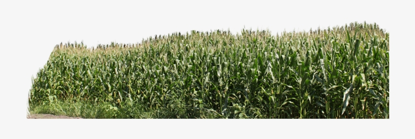 Silos Slideshow Image - Field, transparent png download
