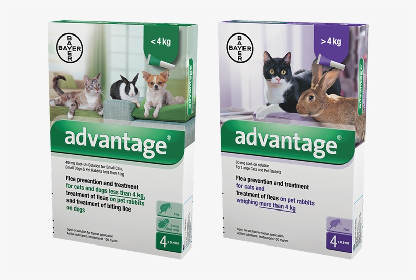 advantage 80 for cats