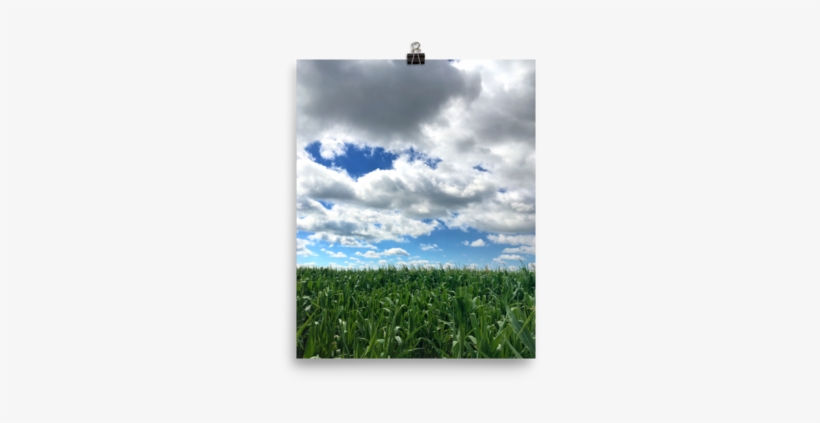 Photography Print Of Cloudy Sky Over Cornfield - Cloud, transparent png download