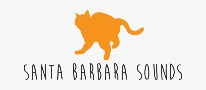 Cat, transparent png download