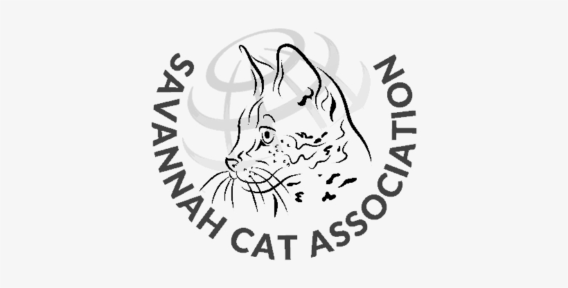 Savannah Cat Association Savannah Cat Association - Market Artist, transparent png download