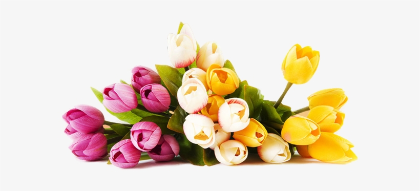 Arreglos - Good Morning My Sweet Sister, transparent png download