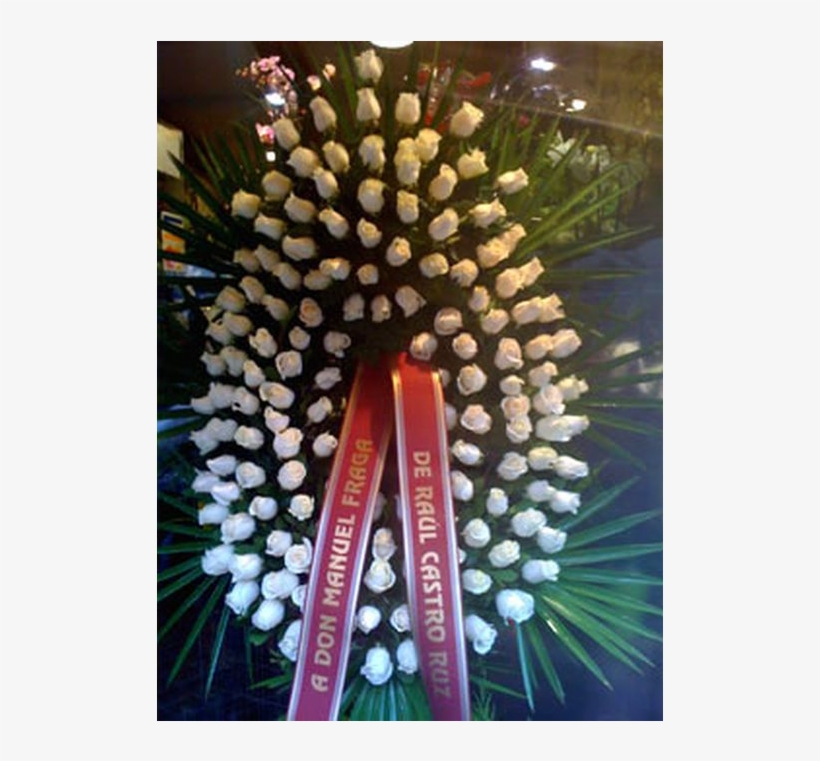 Corona Solo Rosas Blancas - Christmas Tree, transparent png download