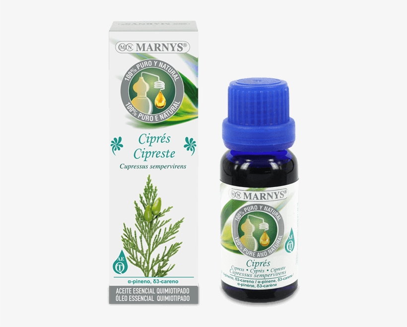 Cypress Essential Oil - Aceite De Anis De Estrella, transparent png download