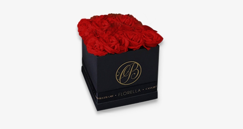 Caja Cuadrada De Rosas Rojas - Garden Roses, transparent png download