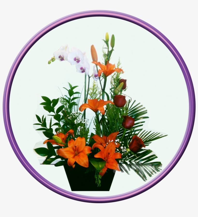 Besos - Kiss, transparent png download