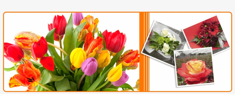 Rímac District, transparent png download