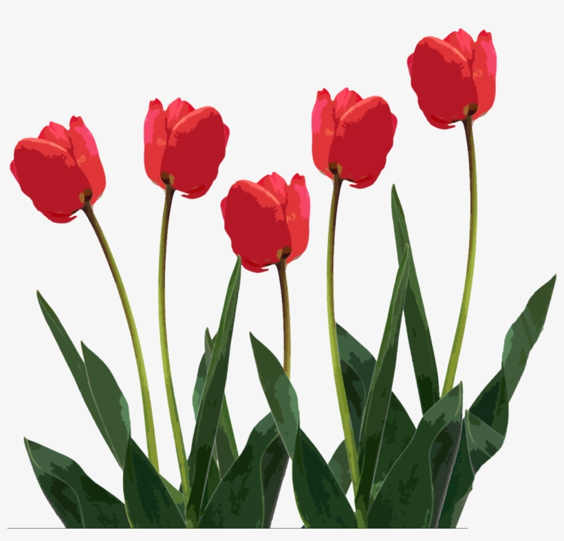 Mothers Day Mother Clipart - Pampered Chef Facebook Banner, transparent png download