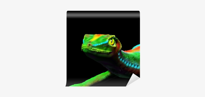 Gecko Lizard Close Up 3d Digital Art Wall Mural • Pixers® - Gecko Lizard Close Up 3d Digital Art Canvas Print -, transparent png download