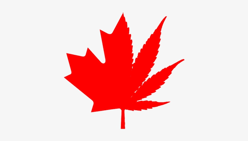 Canada Flag Leaf Only, transparent png download