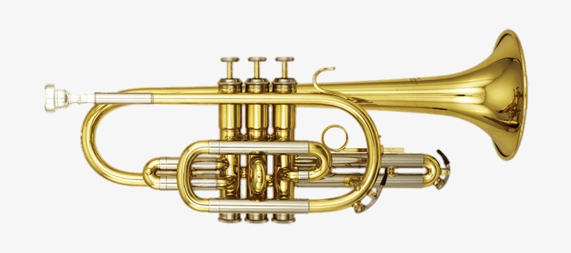 Cornet - Cornet Horn, transparent png download