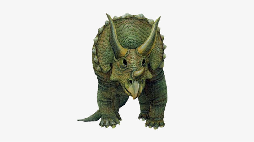 Imágenes Para Photoscape, Photoshop Y Gimp De Animales - Walls Of The Wild Triceratops, transparent png download