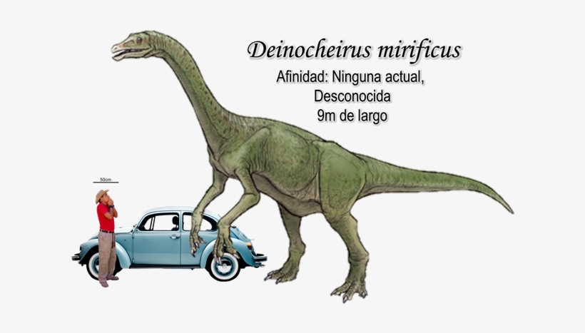 Deinocheirus Mirificus A Escala - Favorite Pelecanimimus, transparent png download