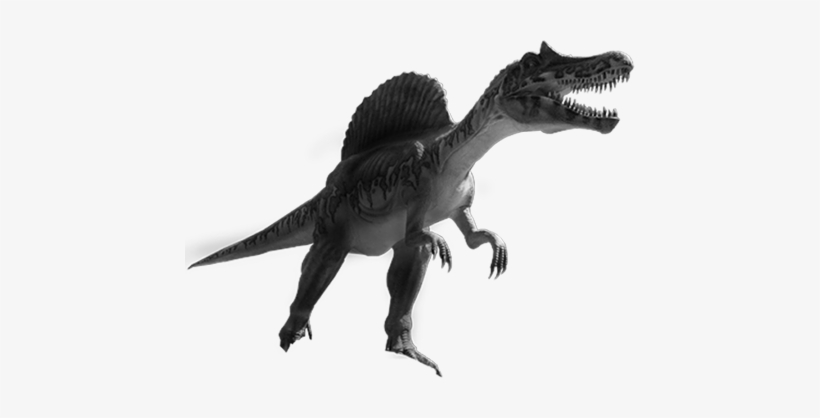 Amusement Adult Dinosaur Costume For Sal - Costume, transparent png download